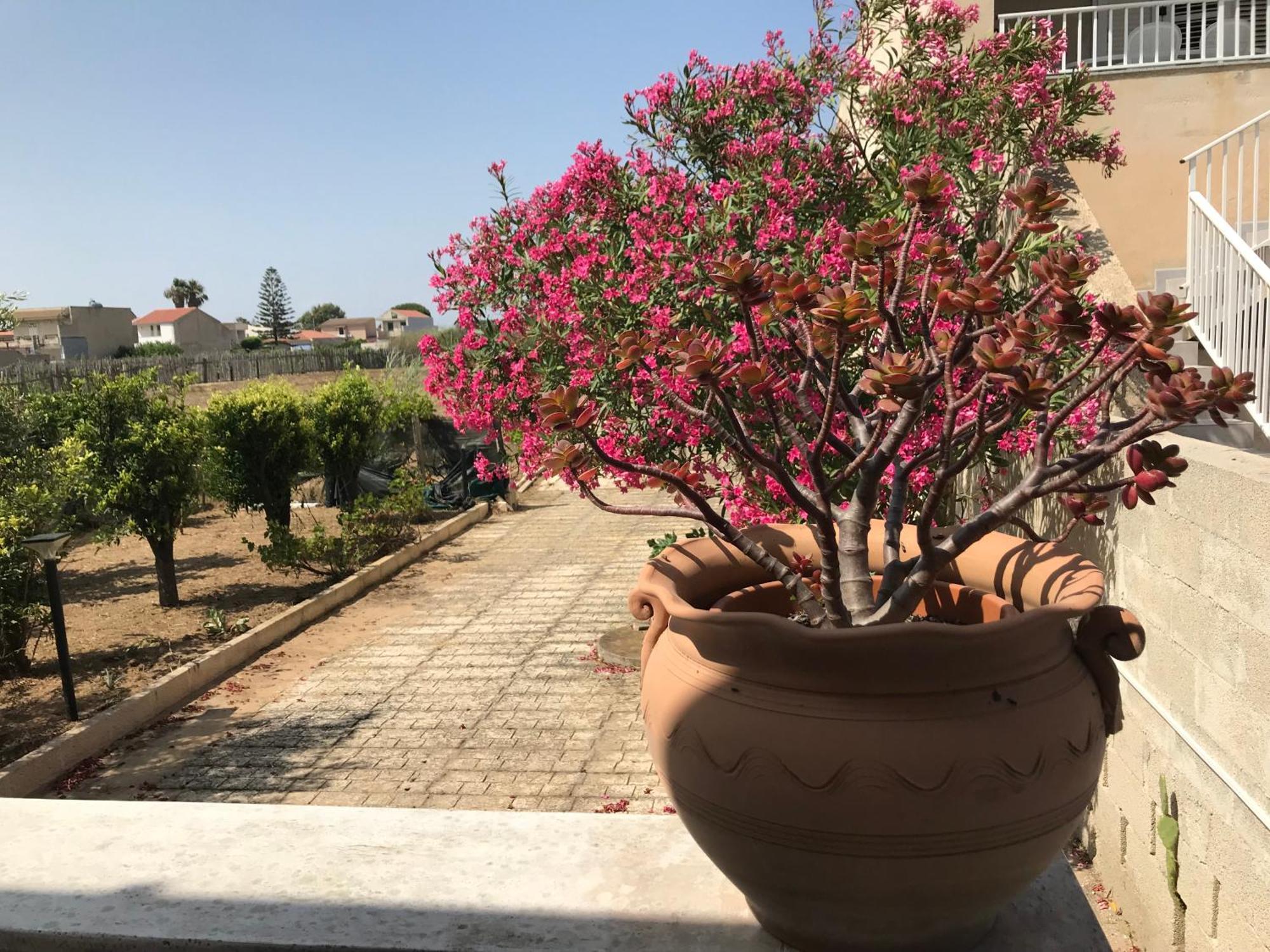 Villino Oleandro Villa Santa Maria Del Focallo Kültér fotó